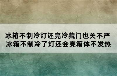 冰箱不制冷灯还亮冷藏门也关不严 冰箱不制冷了灯还会亮箱体不发热